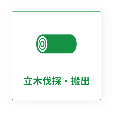 立木伐採・搬出